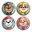 Picture of PAW PATROL BALL